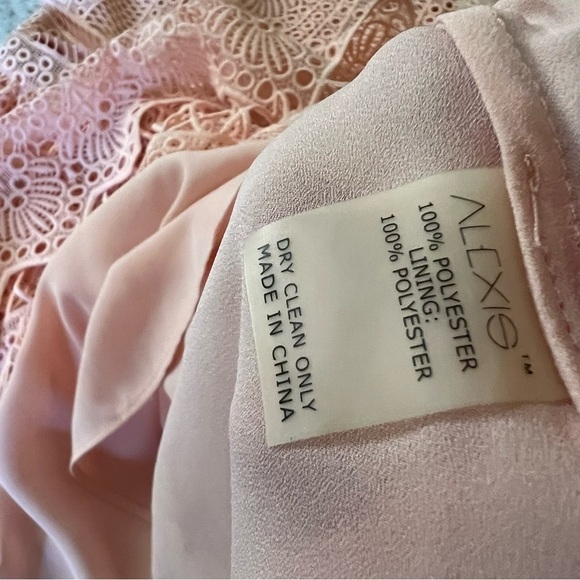 ALEXIS Sage A Line Blossom Blush Pink Dress Cutout Wedding Guest Size XS - Picture 13 of 13